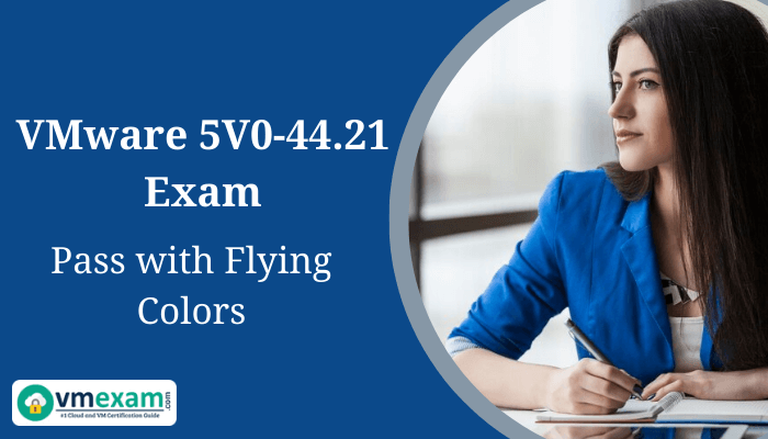 Professional woman studying for VMware 5V0-44.21 exam.