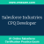 Salesforce Industries CPQ Developer