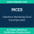 MCES: Salesforce Marketing Cloud Email Specialist