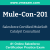 Mule-Con-201: Salesforce Certified MuleSoft Catalyst Consultant