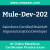 Mule-Dev-202: Salesforce Certified MuleSoft Hyperautomation Developer