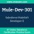 Mule-Dev-301: Salesforce MuleSoft Developer II