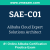 SAE-C01: Alibaba Cloud Expert Solutions Architect