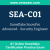 SEA-C01: Snowflake SnowPro Advanced - Security Engineer