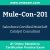 Mule-Con-201: Salesforce Certified MuleSoft Catalyst Consultant Mule-Con-201: Salesforce Certified MuleSoft Catalyst Consultant