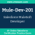 Mule-Dev-201: Salesforce MuleSoft Developer Mule-Dev-201: Salesforce MuleSoft Developer