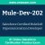 Mule-Dev-202: Salesforce Certified MuleSoft Hyperautomation Developer Mule-Dev-202: Salesforce Certified MuleSoft Hyperautomation Developer