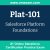 Plat-101: Salesforce Platform Foundations Plat-101: Salesforce Platform Foundations