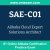 SAE-C01: Alibaba Cloud Expert Solutions Architect SAE-C01: Alibaba Cloud Expert Solutions Architect
