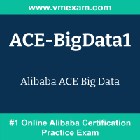 ACE-BigData1: Alibaba ACE Big Data