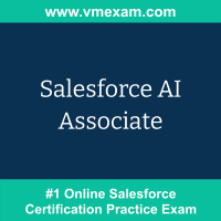 Salesforce AI Associate