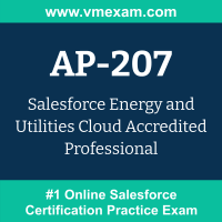 AP-207: Salesforce Energy and Utilities Cloud Accredited Professional