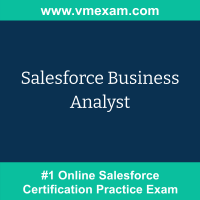 Salesforce Business Analyst