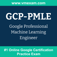 GCP-PMLE: Google Professional Machine Learning Engineer