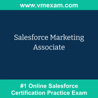 Salesforce Marketing Associate