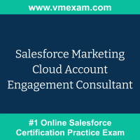 Salesforce Marketing Cloud Account Engagement Consultant